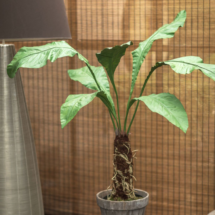 大型 フェイクグリーン「ファーン（アスプレニウム） 140cm シルカ（Silk-ka）」おしゃれ リアル 人工観葉植物 草花 インテリアグリーン オオタニワタリ