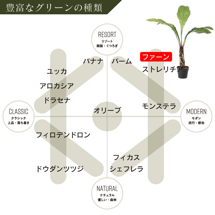 大型 フェイクグリーン「ファーン（アスプレニウム） 140cm シルカ（Silk-ka）」おしゃれ リアル 人工観葉植物 草花 インテリアグリーン オオタニワタリ