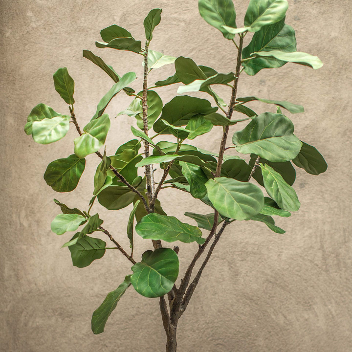 フィカス（ファイカス） 152cm（FICUS GREEN 152 cm） 123827 シルカ（Silk-ka）