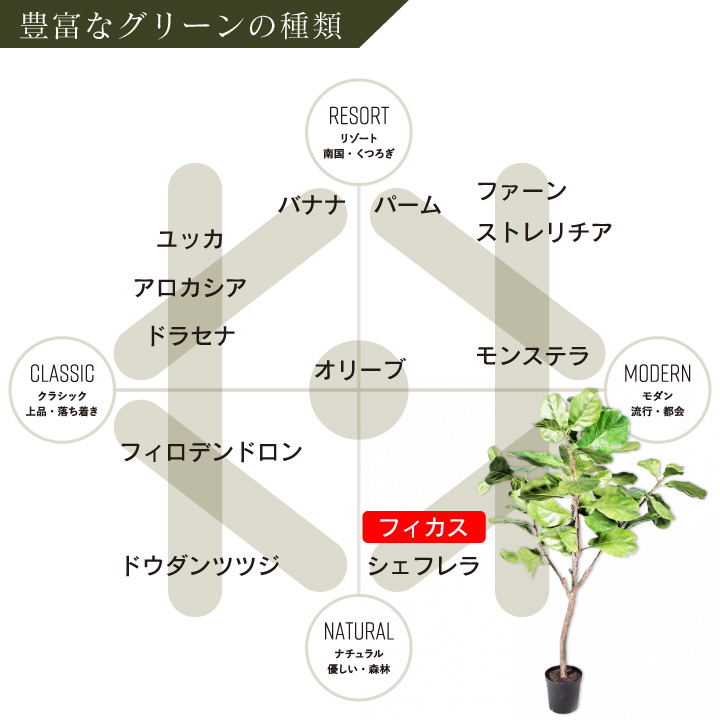 フィカス（ファイカス） 152cm（FICUS GREEN 152 cm） 123827 シルカ（Silk-ka）