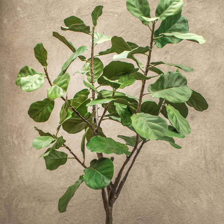 フィカス（ファイカス） 198cm（FICUS GREEN 198 cm） 123828 シルカ（Silk-ka）