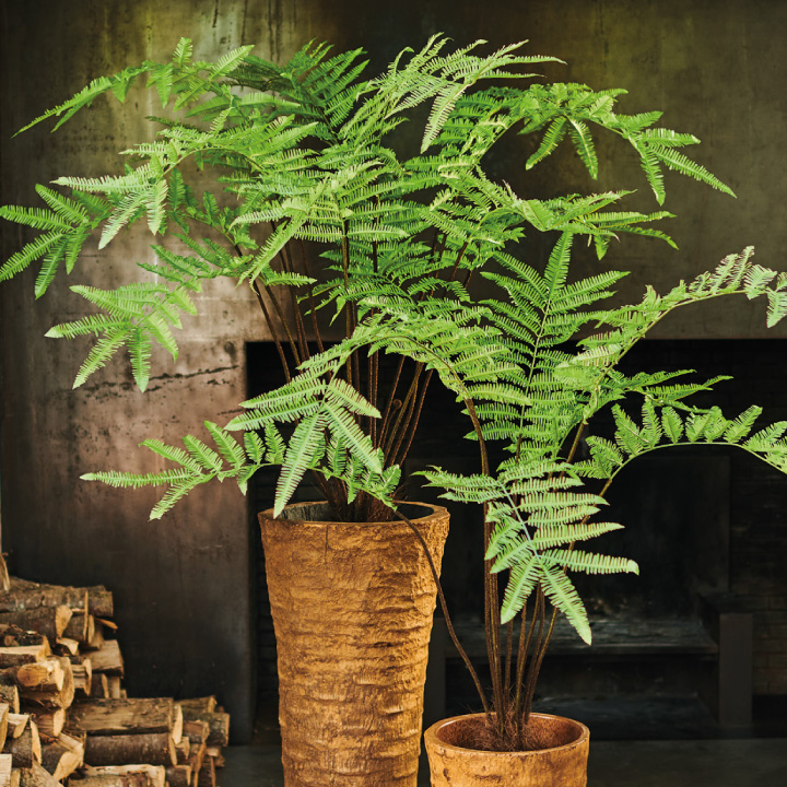 大型 フェイクグリーン「ファーン（ヘゴ） 185cm シルカ（Silk-ka）」おしゃれ リアル 人工観葉植物 草花 インテリアグリーン ハイワンツリー