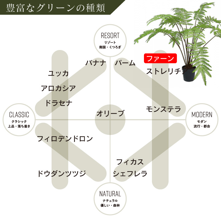 大型 フェイクグリーン「ファーン（ヘゴ） 185cm シルカ（Silk-ka）」おしゃれ リアル 人工観葉植物 草花 インテリアグリーン ハイワンツリー