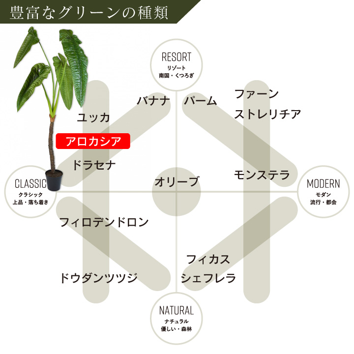 アロカシア 224cm（ALOCASIA GREEN 224 cm） 127409 シルカ（Silk-ka）