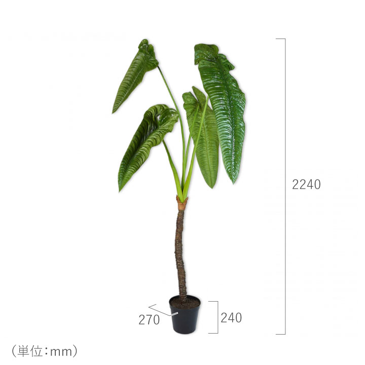 アロカシア 224cm（ALOCASIA GREEN 224 cm） 127409 シルカ（Silk-ka）
