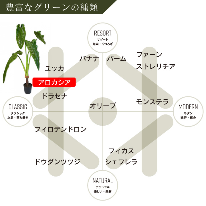 アロカシア 178cm（ALOCASIA GREEN 178 cm） 127410 シルカ（Silk-ka）
