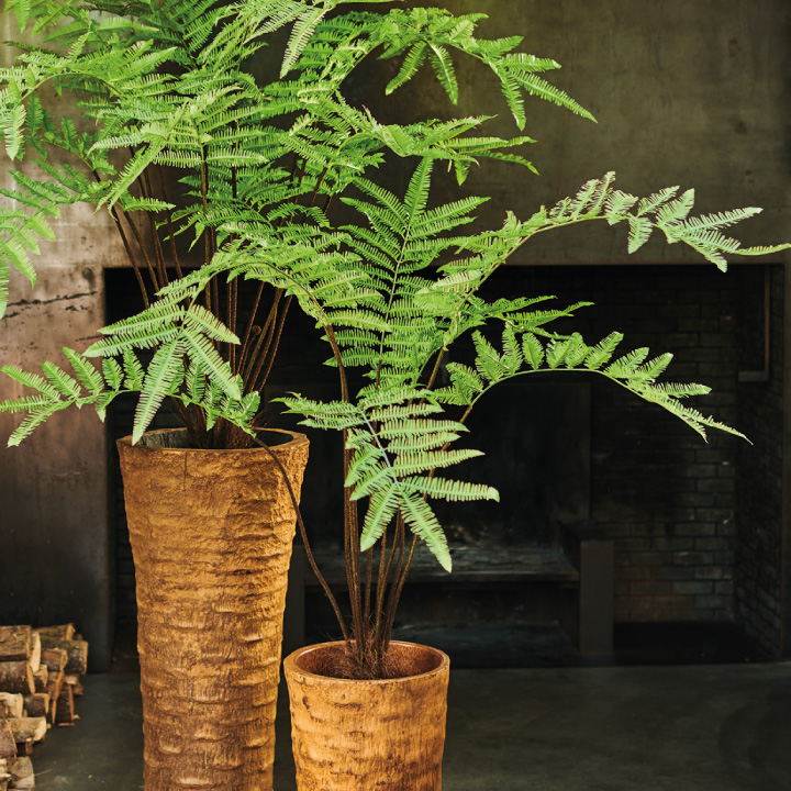 大型 フェイクグリーン「ファーン（ヘゴ） 156cm シルカ（Silk-ka）」おしゃれ リアル 人工観葉植物 草花 インテリアグリーン ハイワンツリー