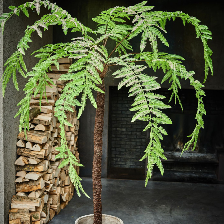 大型 フェイクグリーン「ファーン（ヘゴ） 246cm シルカ（Silk-ka）」おしゃれ リアル 人工観葉植物 草花 インテリアグリーン ハイワンツリー