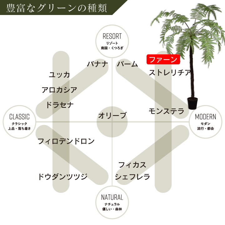 大型 フェイクグリーン「ファーン（ヘゴ） 246cm シルカ（Silk-ka）」おしゃれ リアル 人工観葉植物 草花 インテリアグリーン ハイワンツリー