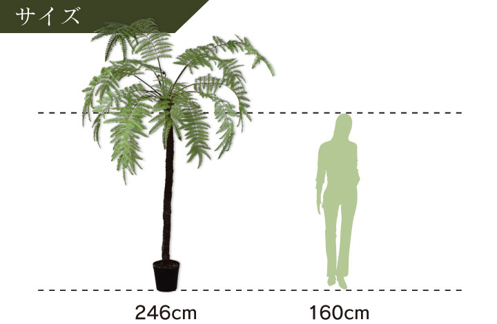 大型 フェイクグリーン「ファーン（ヘゴ） 246cm シルカ（Silk-ka）」おしゃれ リアル 人工観葉植物 草花 インテリアグリーン ハイワンツリー