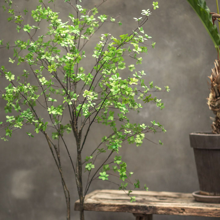 ドウダンツツジ 244cm（TREE GRN LT 244 cm） 130577 シルカ（Silk-ka）