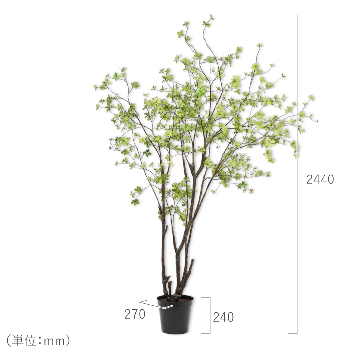 ドウダンツツジ 244cm（TREE GRN LT 244 cm） 130577 シルカ（Silk-ka）