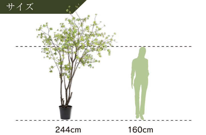 ドウダンツツジ 244cm（TREE GRN LT 244 cm） 130577 シルカ（Silk-ka）