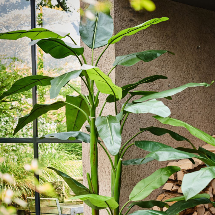 バナナ 220cm（BANANA PLANT GREEN 220 cm） 131013 シルカ（Silk-ka）