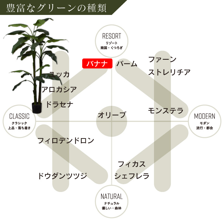 バナナ 220cm（BANANA PLANT GREEN 220 cm） 131013 シルカ（Silk-ka）