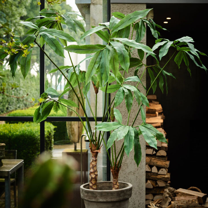 フィロデンドロン 204cm（PLANT GREEN 204 cm） 131604 シルカ（Silk-ka）