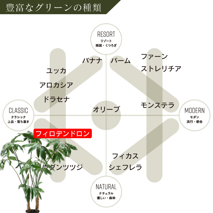 フィロデンドロン 204cm（PLANT GREEN 204 cm） 131604 シルカ（Silk-ka）