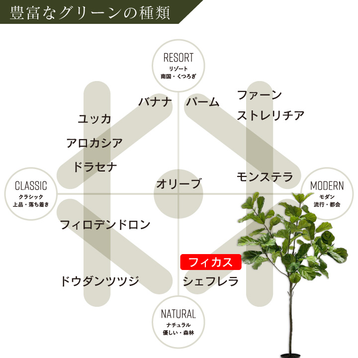 フィカス（ファイカス） 254cm（FICUS GREEN 254 cm） 131625 シルカ（Silk-ka）