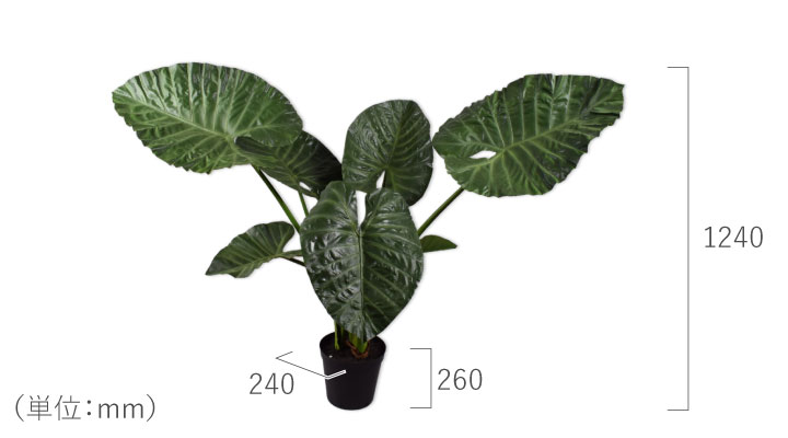 アロカシア 124cm（ALOCASIA GREEN 124 cm） 131626 シルカ（Silk-ka）
