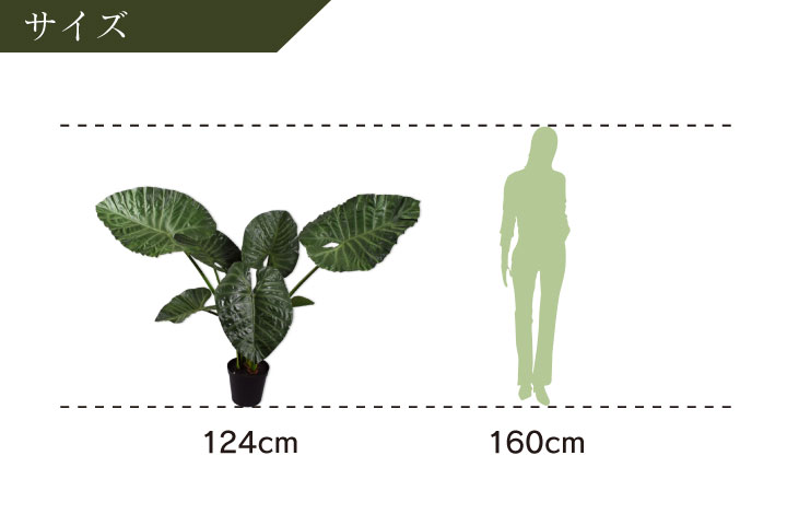アロカシア 124cm（ALOCASIA GREEN 124 cm） 131626 シルカ（Silk-ka）