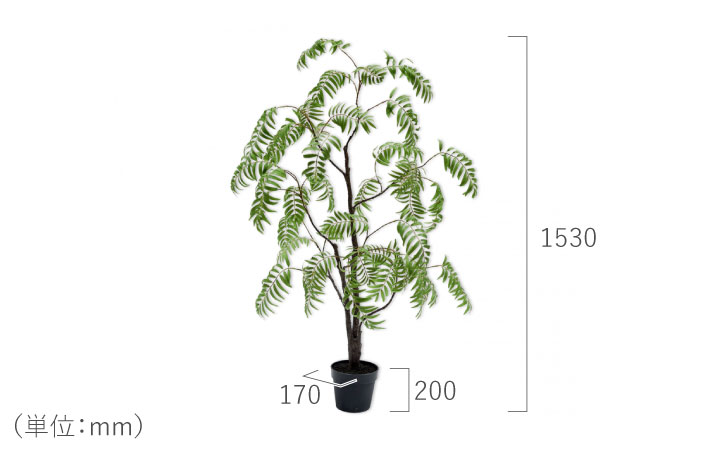 パーム 153cm（PALM GREEN 153 cm） 132051 シルカ（Silk-ka）