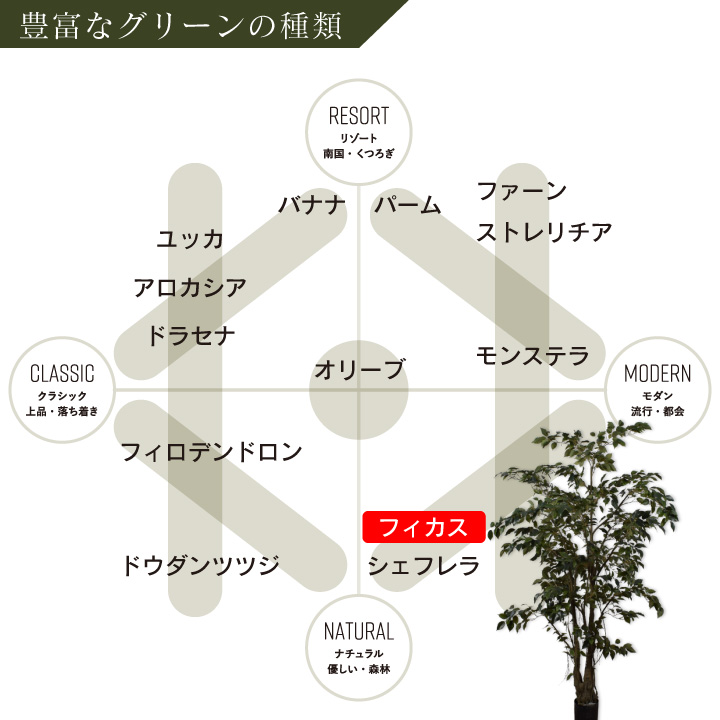 フィカス（ファイカス） 213cm（FICUS GREEN 213 cm） 132824 シルカ（Silk-ka）