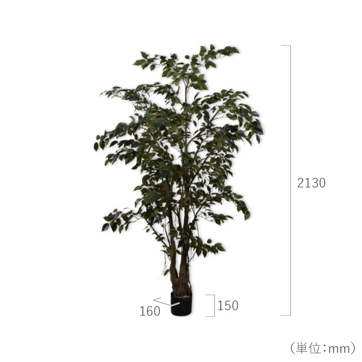 フィカス（ファイカス） 213cm（FICUS GREEN 213 cm） 132824 シルカ（Silk-ka）