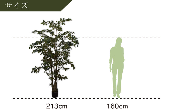 フィカス（ファイカス） 213cm（FICUS GREEN 213 cm） 132824 シルカ（Silk-ka）