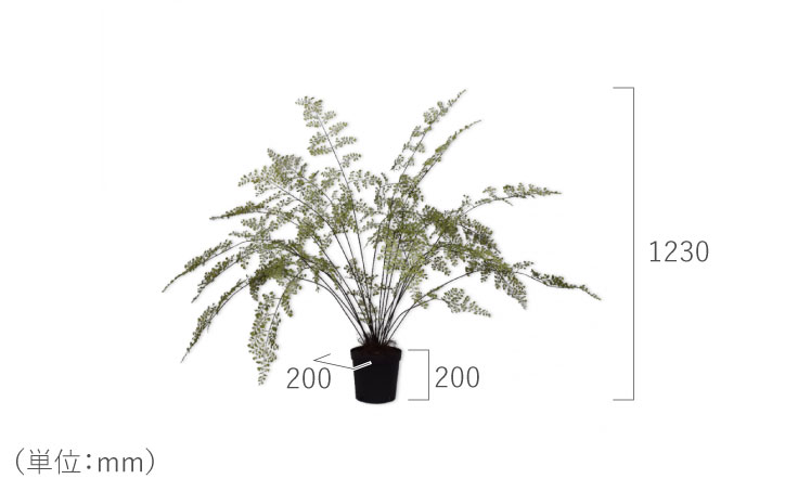 ファーン（パーム） 123cm（PALM GREEN 123 cm） 138355 シルカ（Silk-ka）