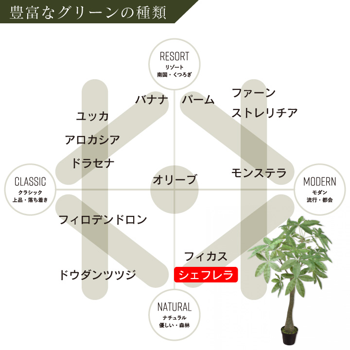 大型 フェイクグリーン「シェフレラ 162cm シルカ（Silk-ka）」おしゃれ リアル 人工観葉植物 樹木 インテリアグリーン カポック