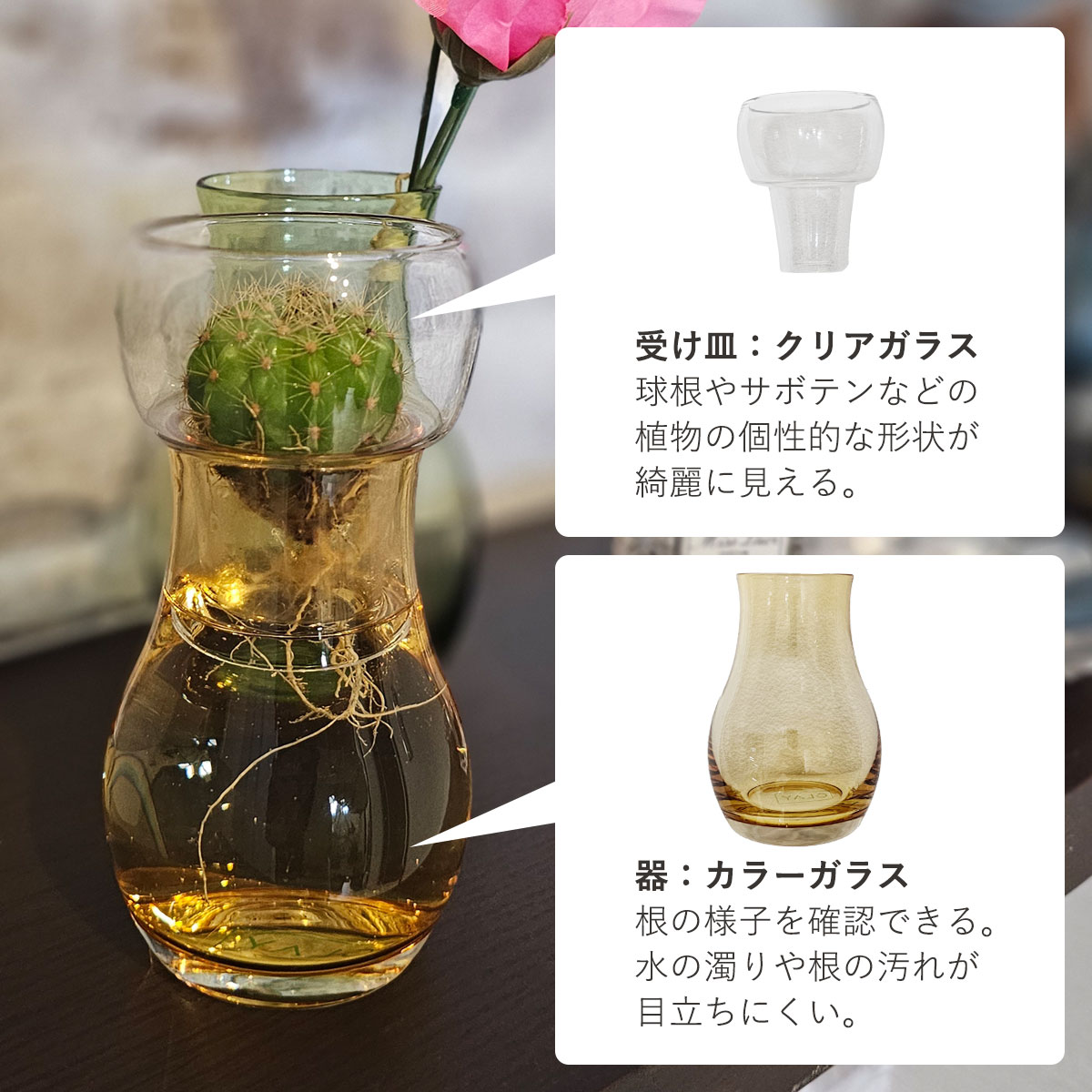 水耕栽培 花瓶 2WAYで楽しめる ガラスポット 「 Bulbee（バルビー