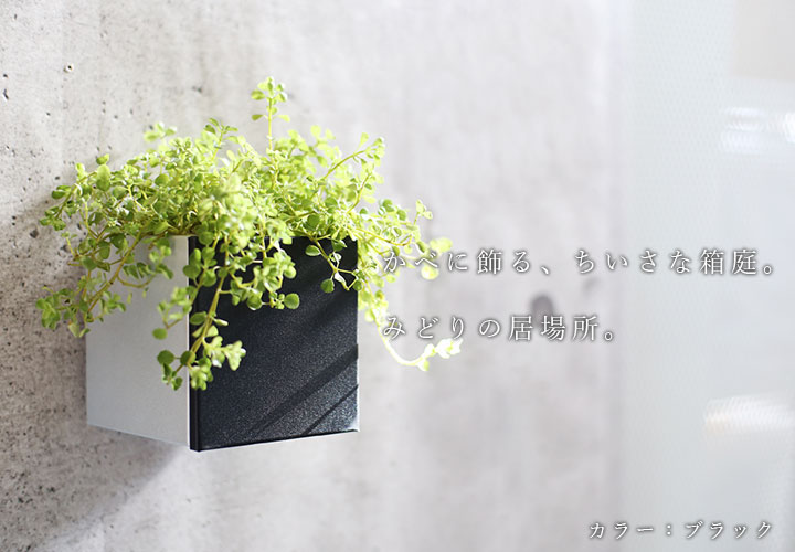 ハコトコ キューブ カラーパネル