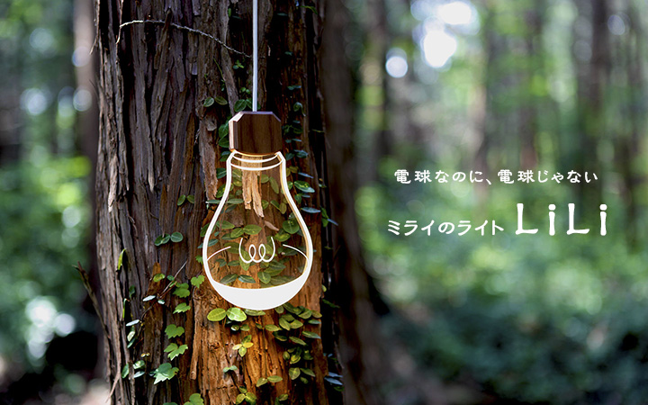 「LiLi(ライライ) ダクトレール版」