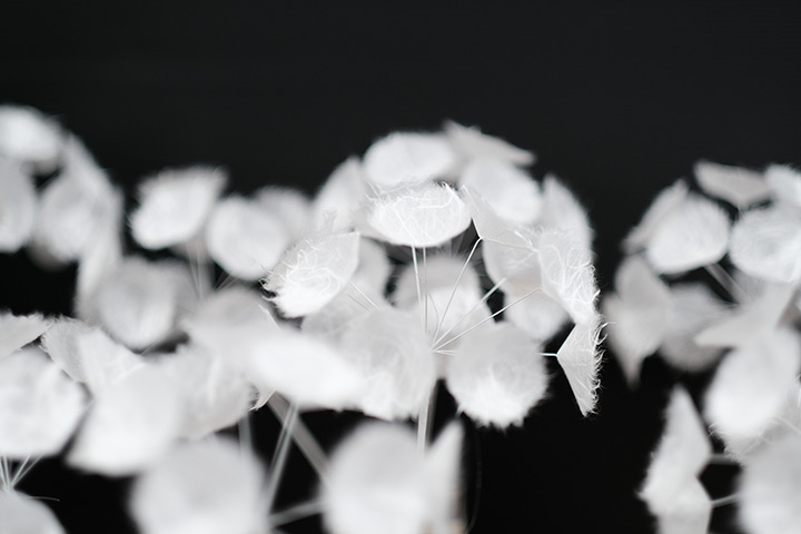 「綿毛のモビール（S・M・L/3個1セット)」