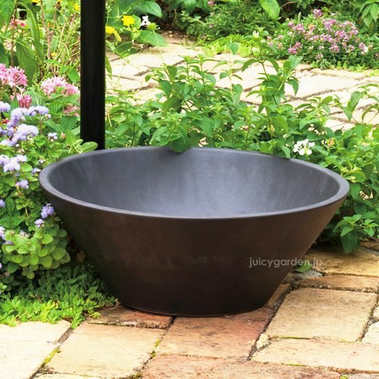 000000000238-01.jpg?size=l&w=