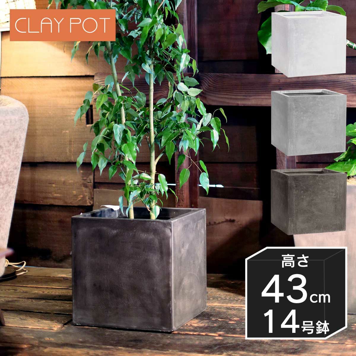 000000000932-01.jpg?size=m&w=