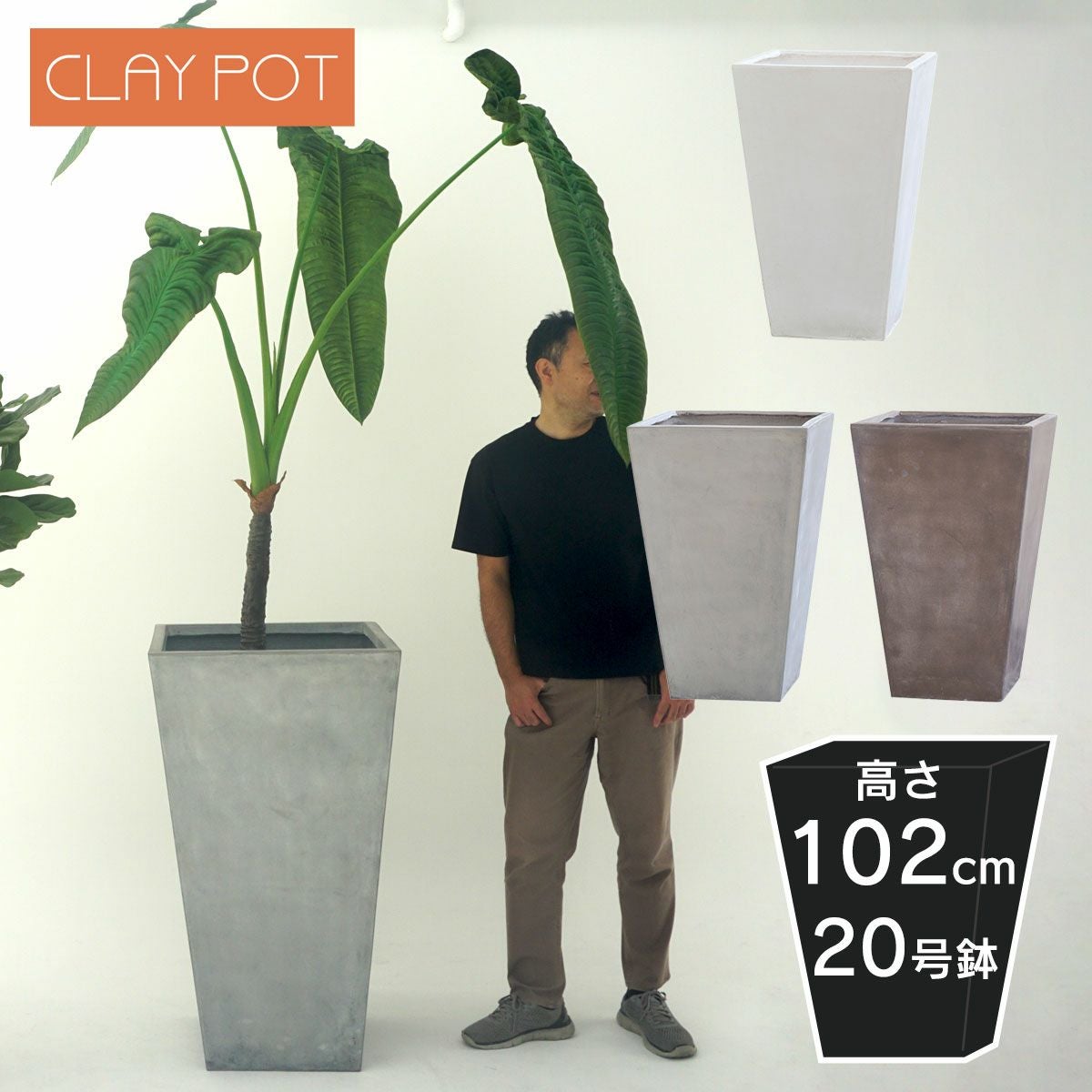 000000001536-01.jpg?size=m&w=