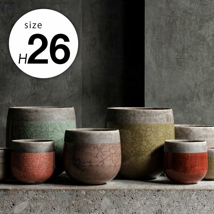 000000003098-01.jpg?size=l&w=