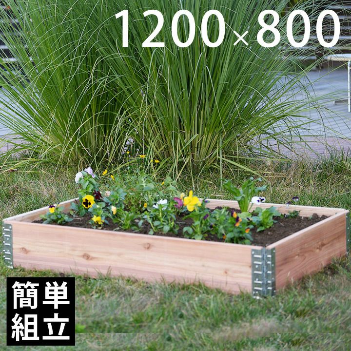 木製プランター 「a+ design ガーデンボックス1200×800 ナチュラル