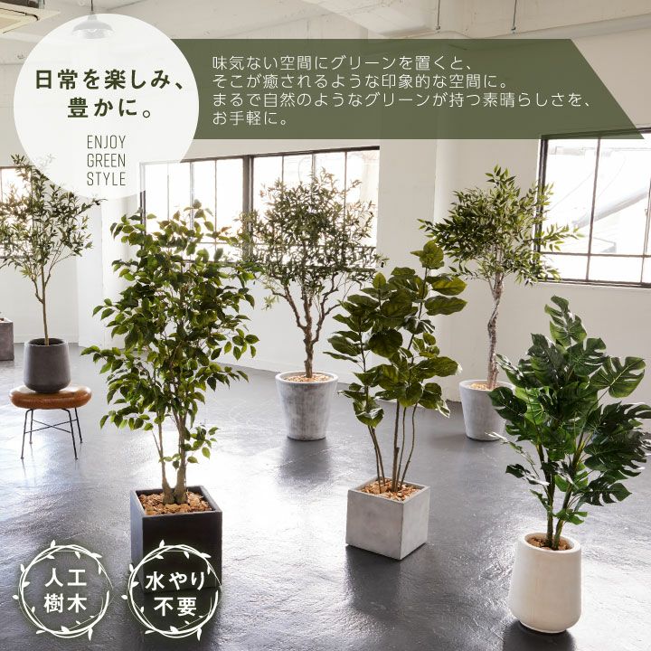 フェイクグリーン リアル 大型「ウンベラータ×Cube w/g」[高さ150cm