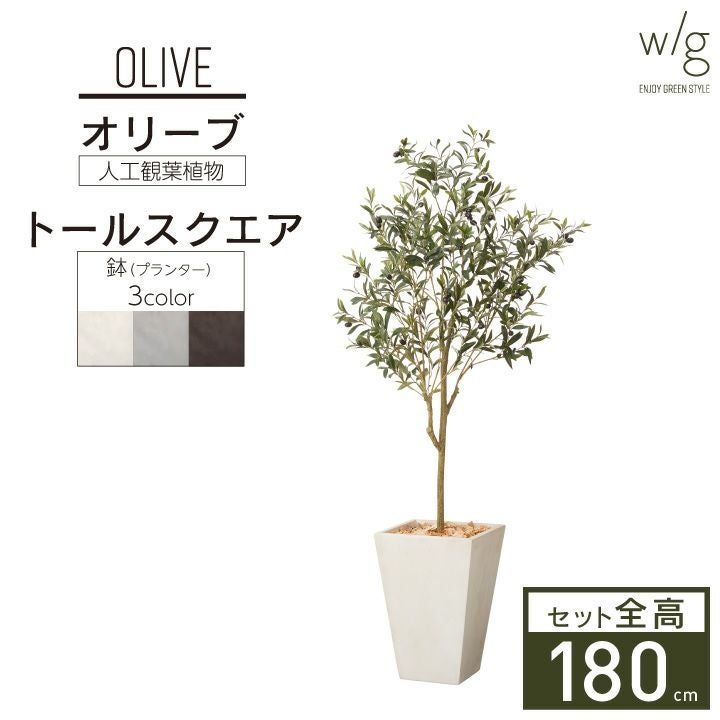 フェイクグリーン×プランターセット「オリーブS×Tall Square w/g」[高