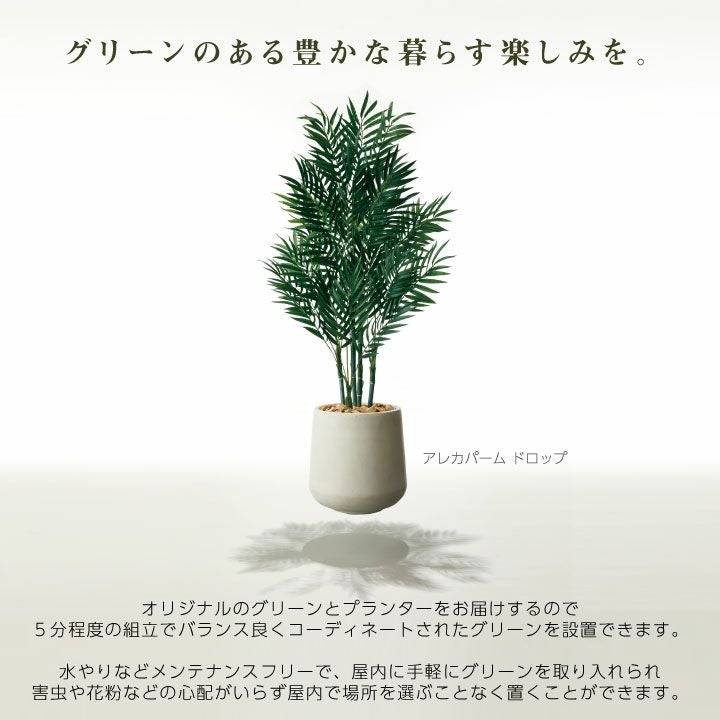 フェイクグリーン 大型 リアル プランターセット「オリーブL×Round w
