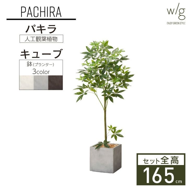 フェイクグリーン×プランターセット「パキラ×Cube w/g」[高さ165cm