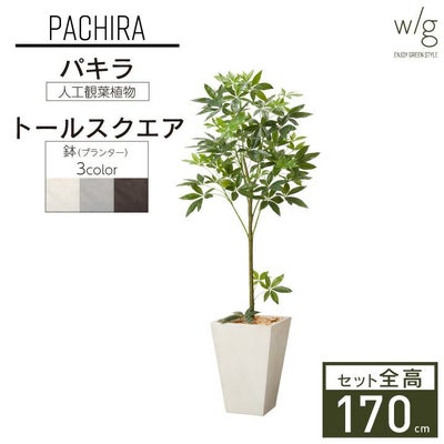 フェイクグリーン×プランターセット「パキラ×Tall Square w/g」[高さ 