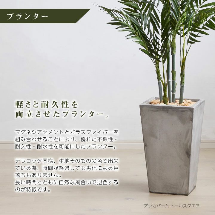 フェイクグリーン×プランターセット「パキラ×Tall Square w/g」[高さ