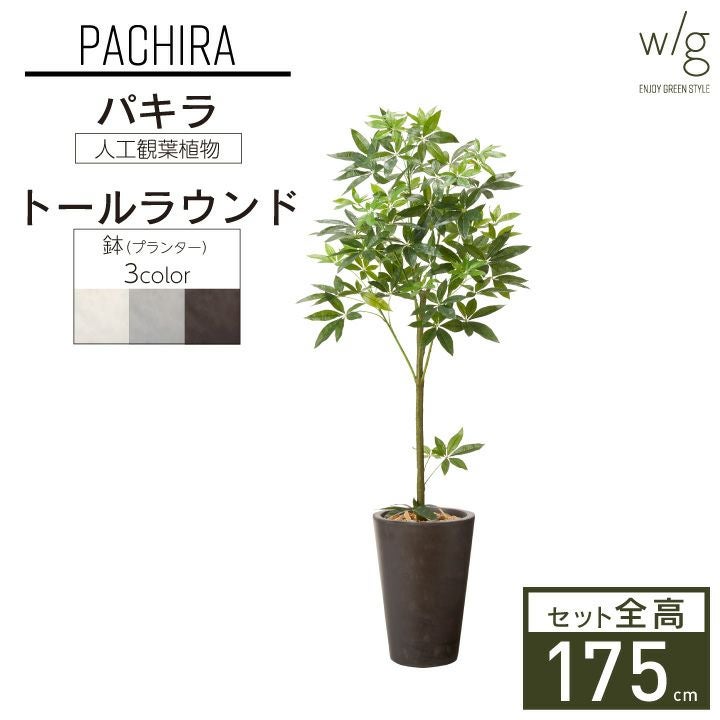 インテリアグリーン | 《公式》JUICYGARDEN [ジューシーガーデン]