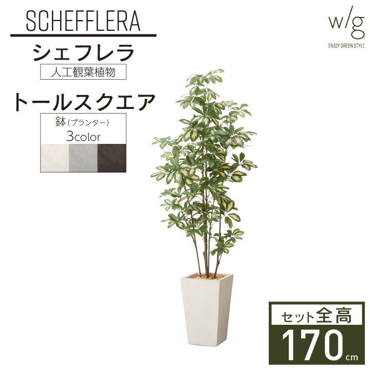 フェイクグリーン×プランターセット「オリーブS×Cube w/g」[高さ165cm