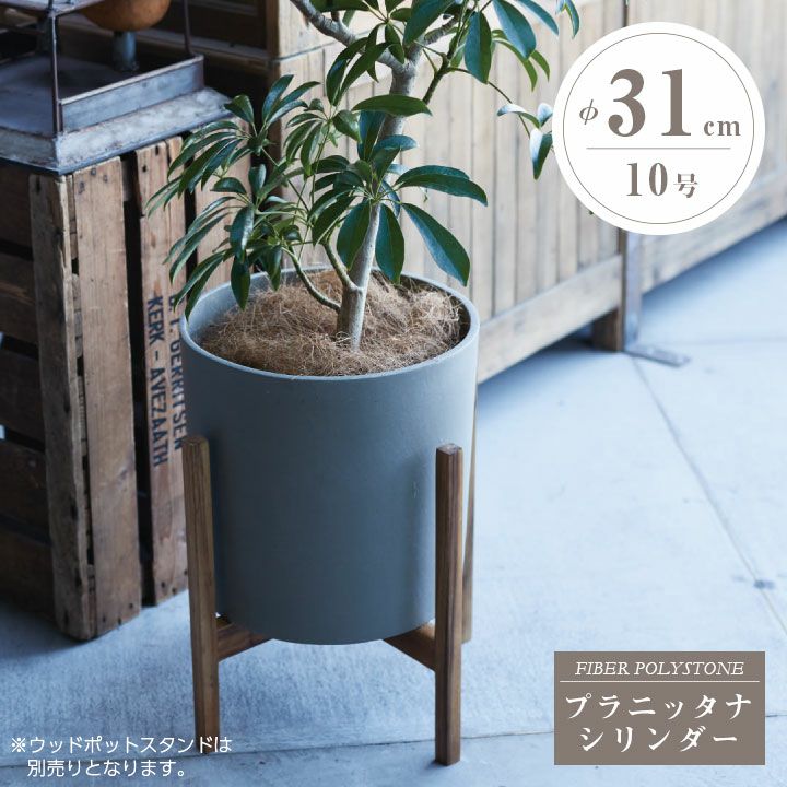 000000006871-01.jpg?size=l&w=