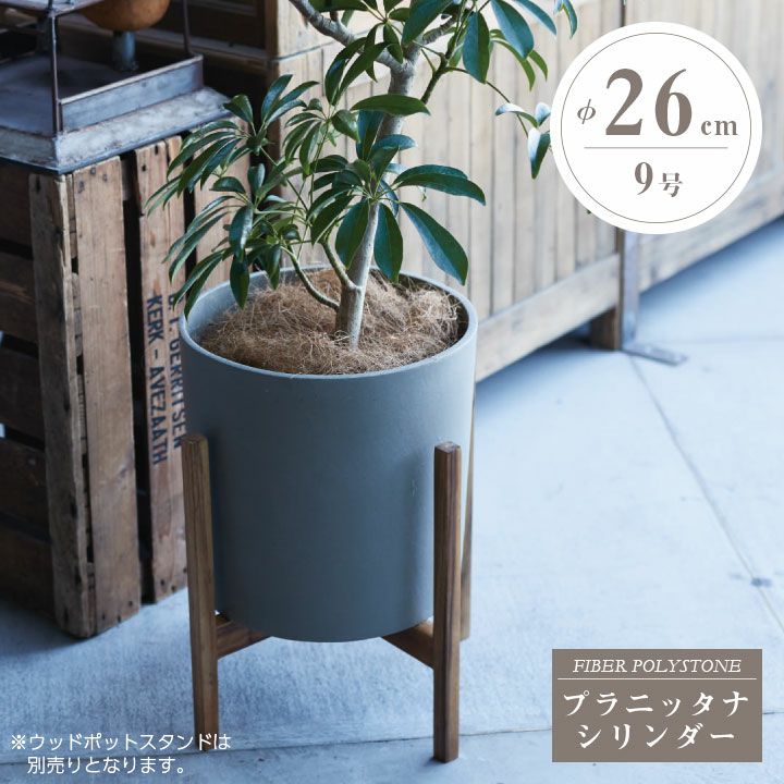 000000006873-01.jpg?size=m&w=