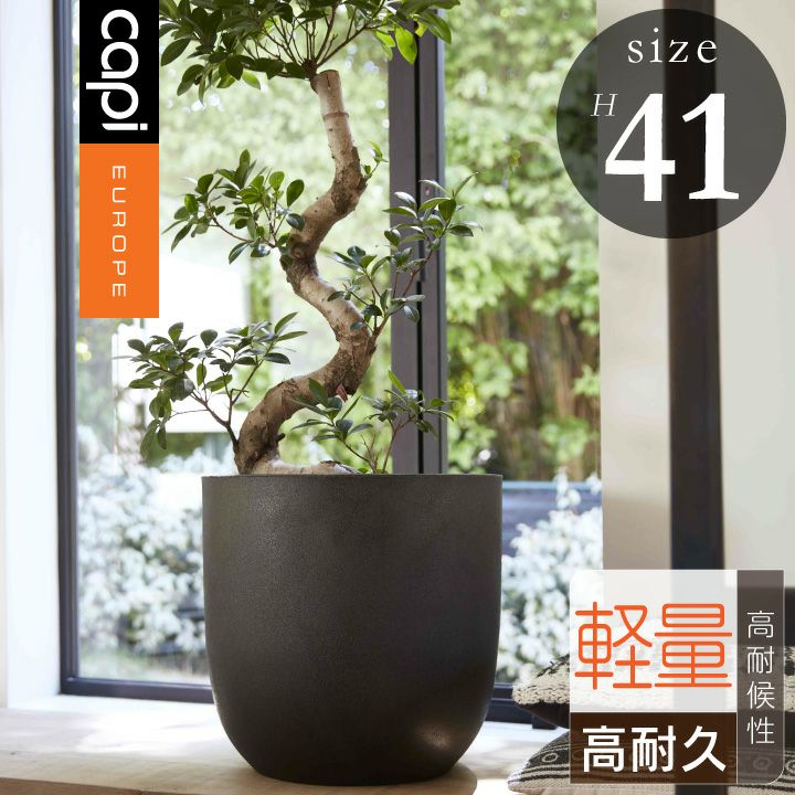 Capi（カピ） | 《公式》JUICYGARDEN [ジューシーガーデン]